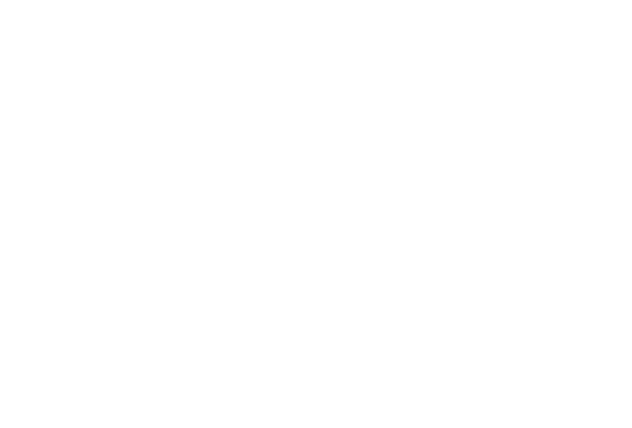 logo-solag-blanc